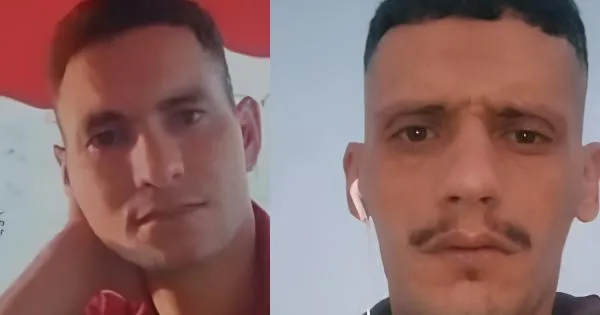 L'inferno dei "fantasmi del radicchio"